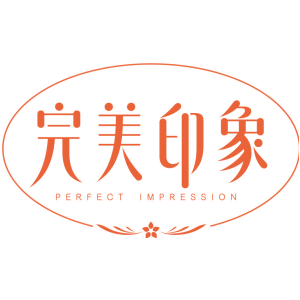 完美印象 PERFECT IMPRESSION