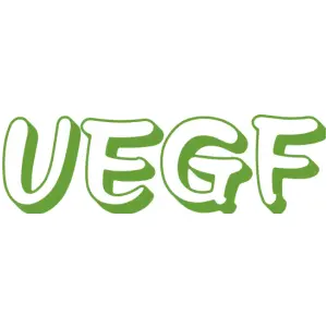 UEGF