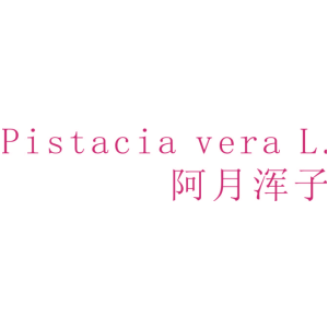 PISTACIA VERA L.