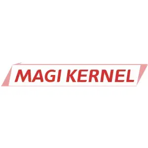 MAGI KERNEL