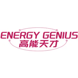 ENERGY GENIUS 高能天