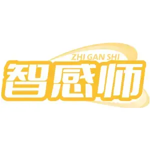智感师ZHI GAN SHI