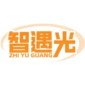 智遇光