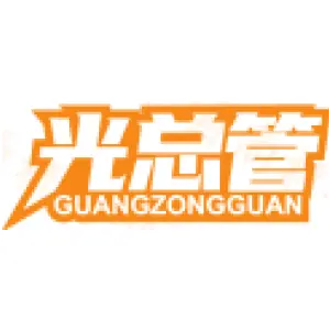 光总管