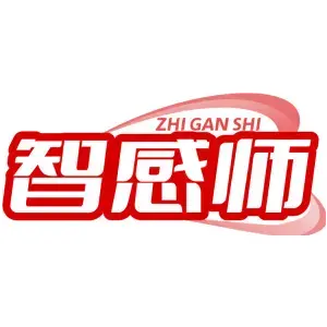 智感师ZHI GAN SHI