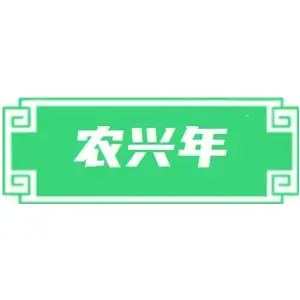 农兴年