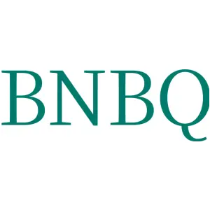 BNBQ
