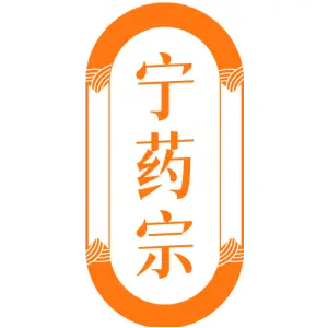 宁药宗