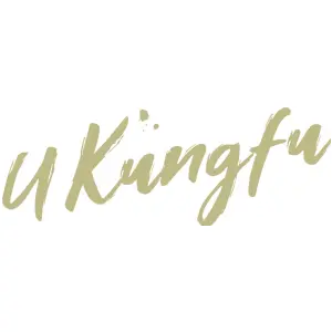 U KUNGFU