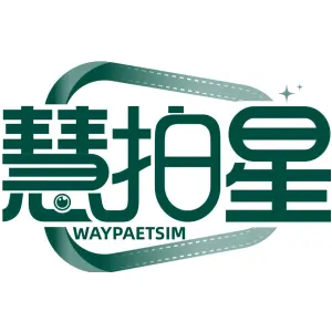 慧拍星 WAYPAETSIM
