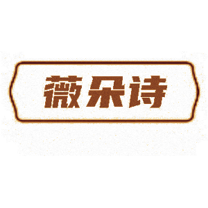 薇朵诗