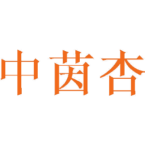 中茵杏