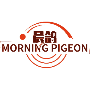 晨鸽 MORNING PIGEON