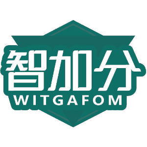 智加分 WITGAFOM