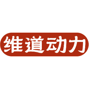 维道动力
